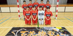 HANDA QUEEN BRICKS [ 中学生 / ハンドボール女子 ]